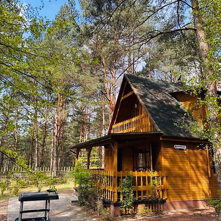 Lesniczowka Villa Rzadza Exteriör bild