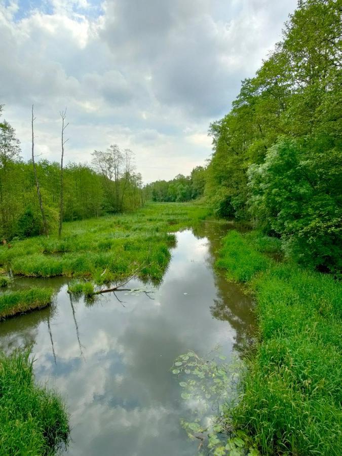 Lesniczowka Villa Rzadza Exteriör bild