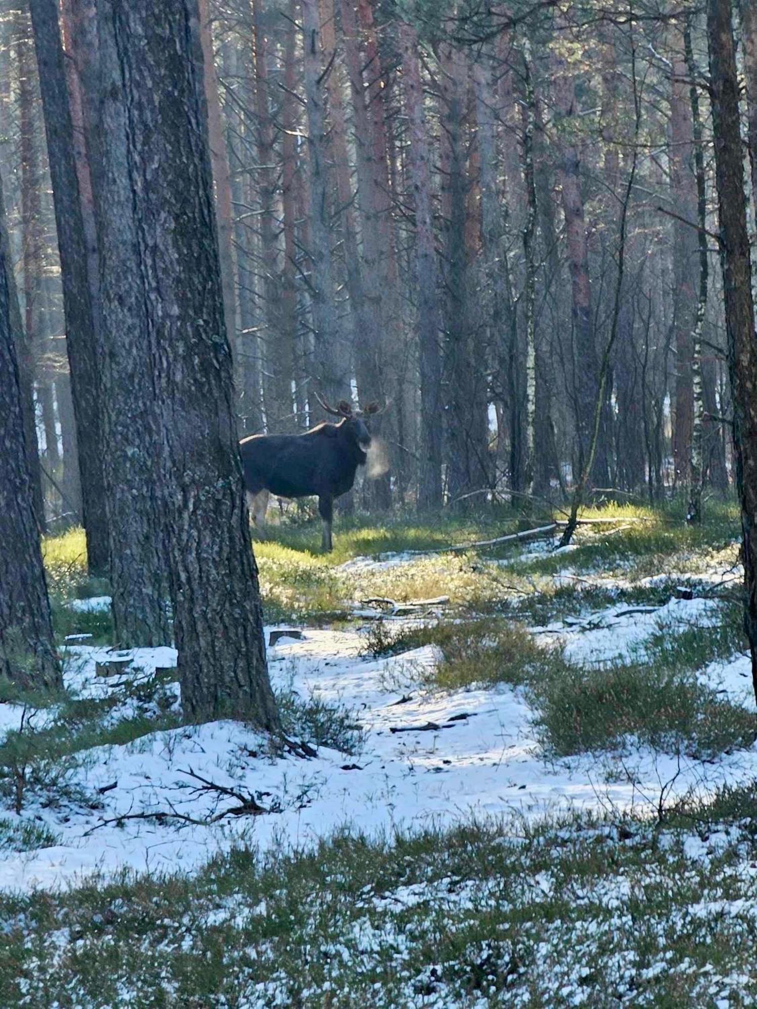 Lesniczowka Villa Rzadza Exteriör bild