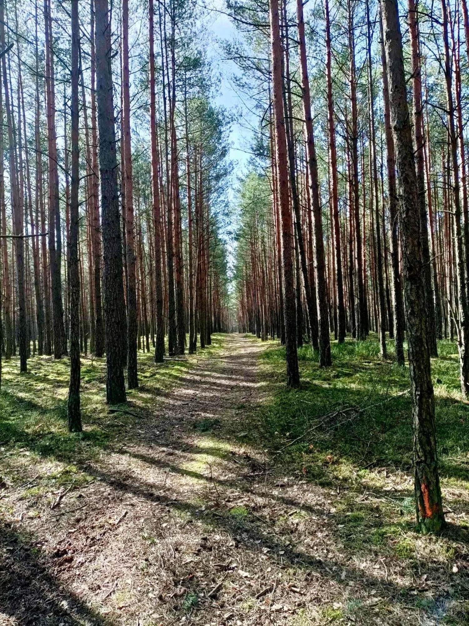 Lesniczowka Villa Rzadza Exteriör bild